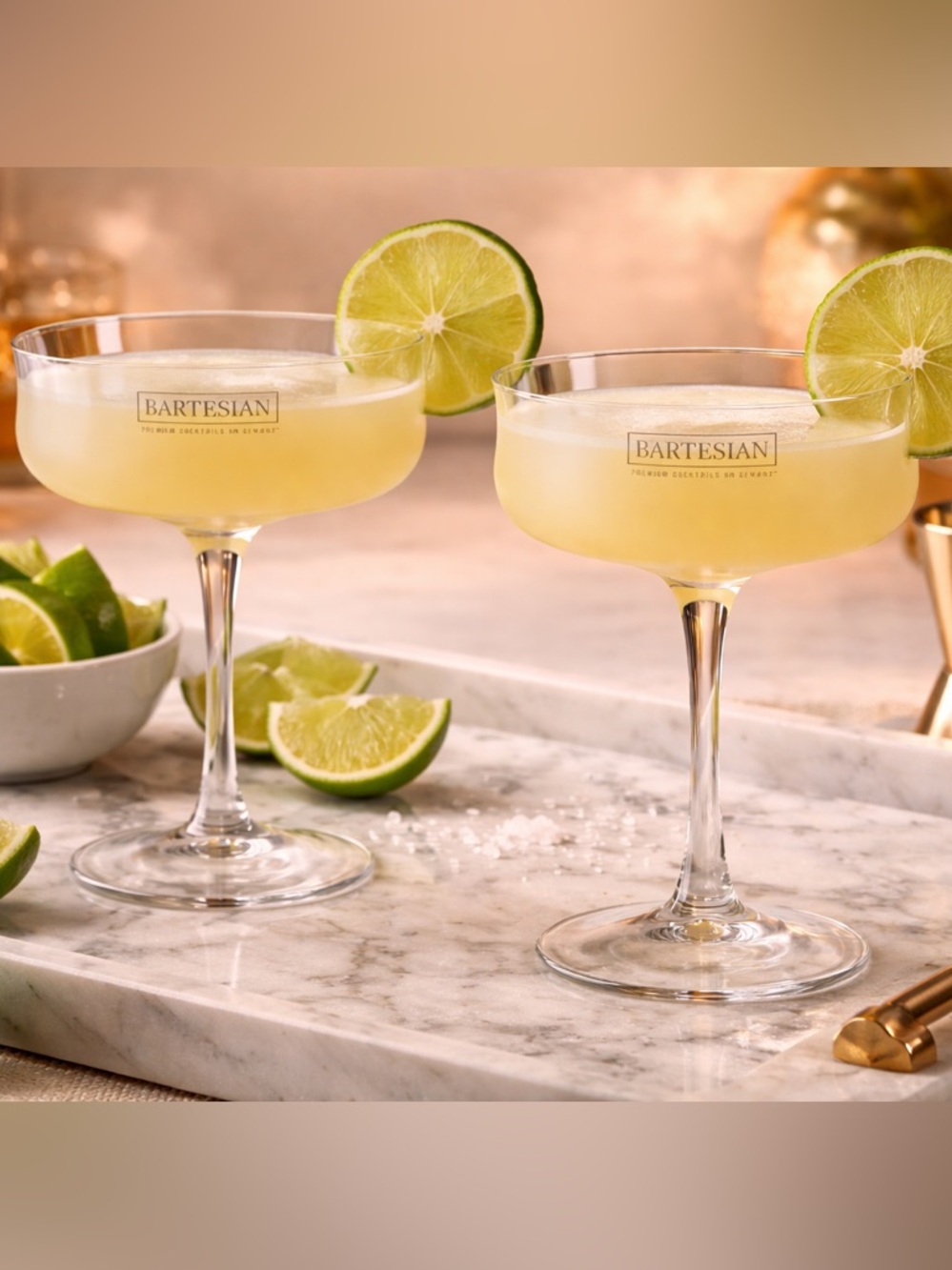 NIB Coupe Cocktail Glasses in Clear (Set of 2)